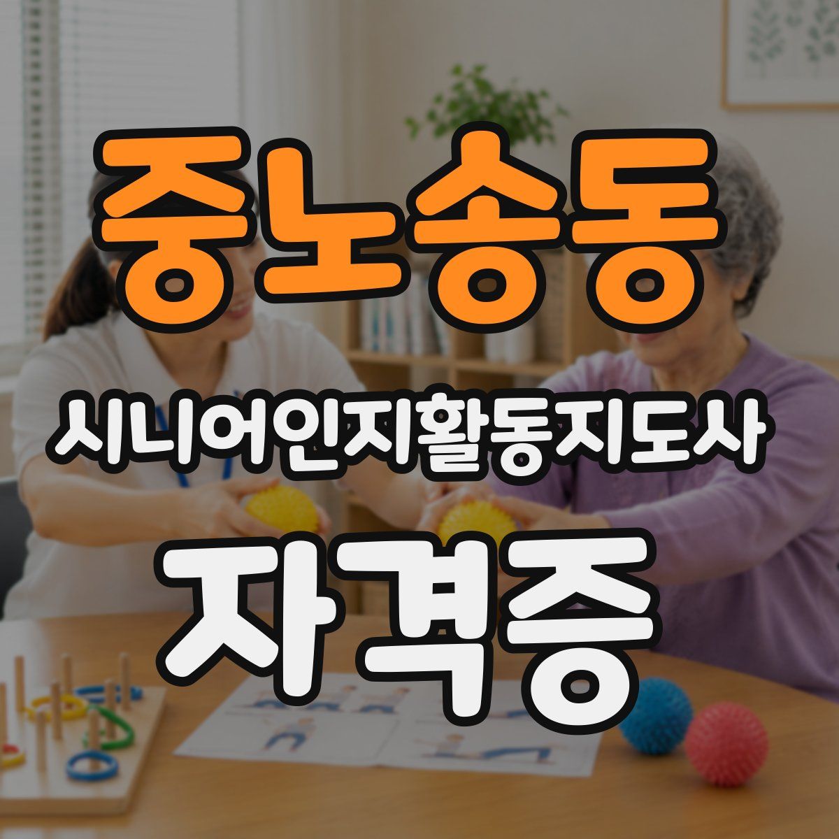중노송동 시니어인지활동지도사 자격증