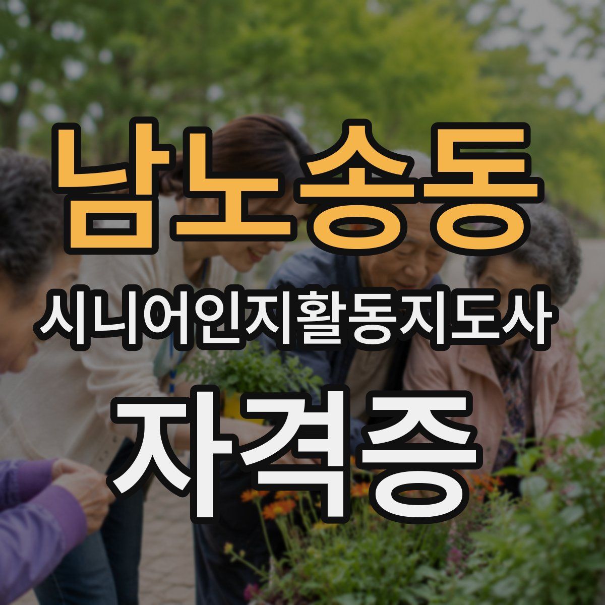 남노송동 시니어인지활동지도사 자격증