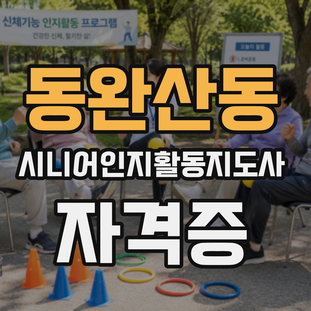 동완산동 시니어인지활동지도사 자격증