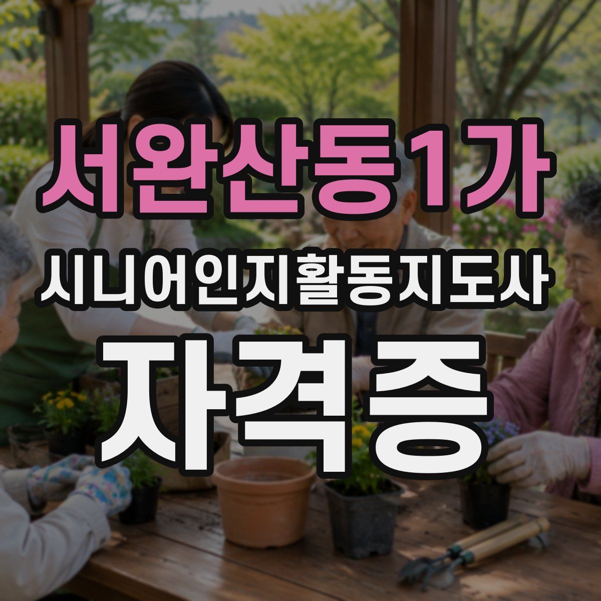서완산동1가 시니어인지활동지도사 자격증