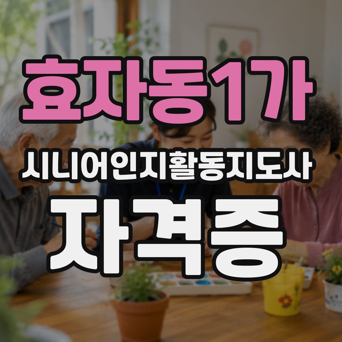 효자동1가 시니어인지활동지도사 자격증