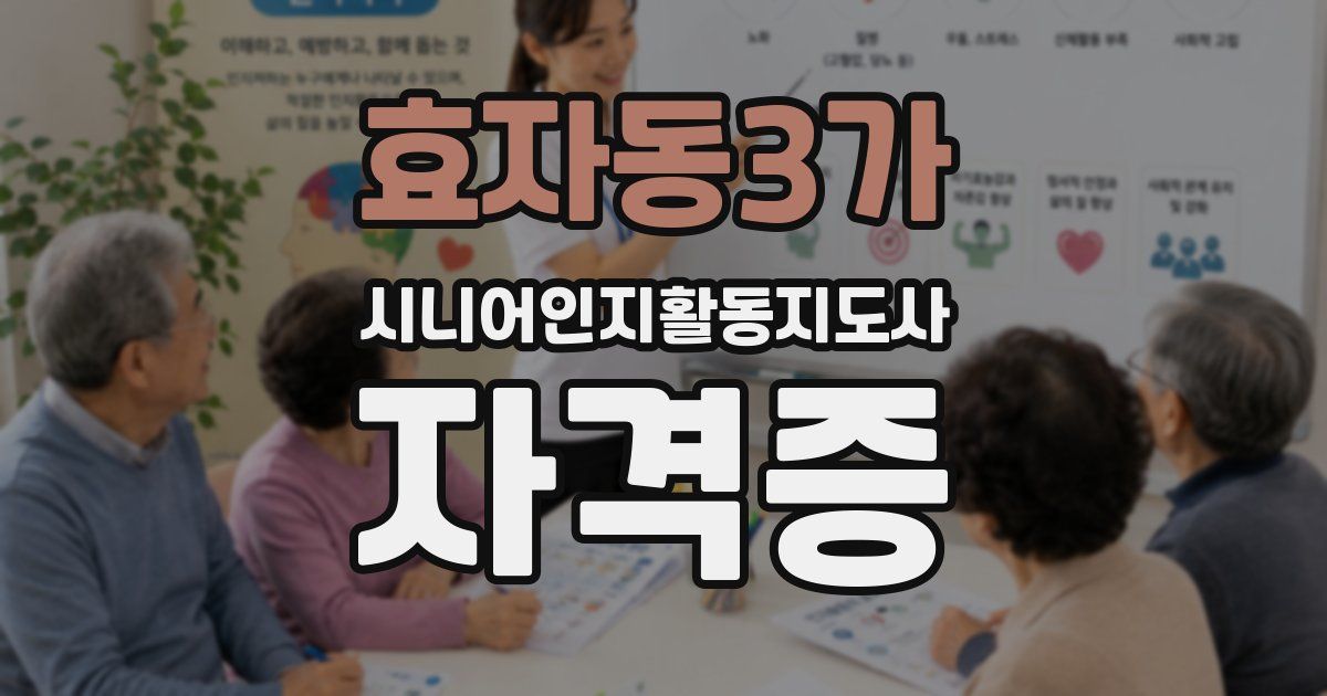 효자동3가 시니어인지활동지도사 자격증