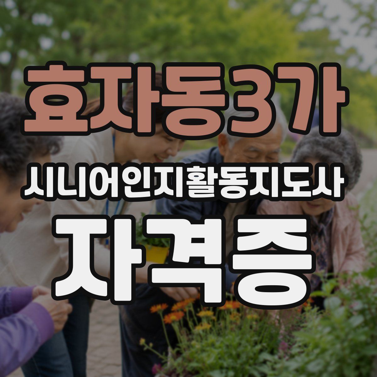 효자동3가 시니어인지활동지도사 자격증