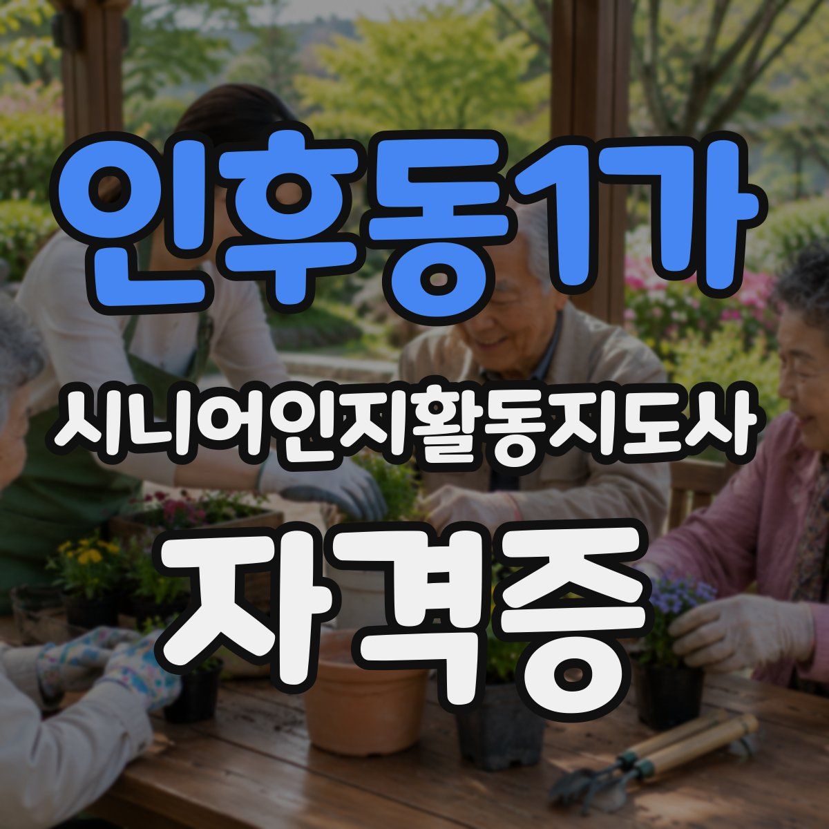 인후동1가 시니어인지활동지도사 자격증