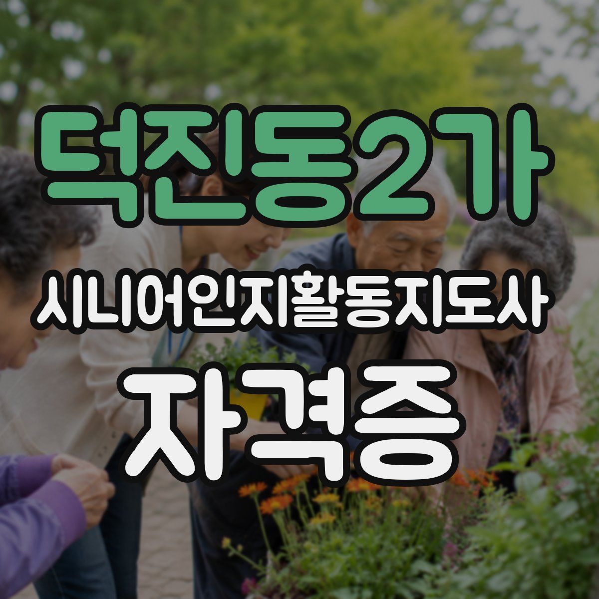 덕진동2가 시니어인지활동지도사 자격증