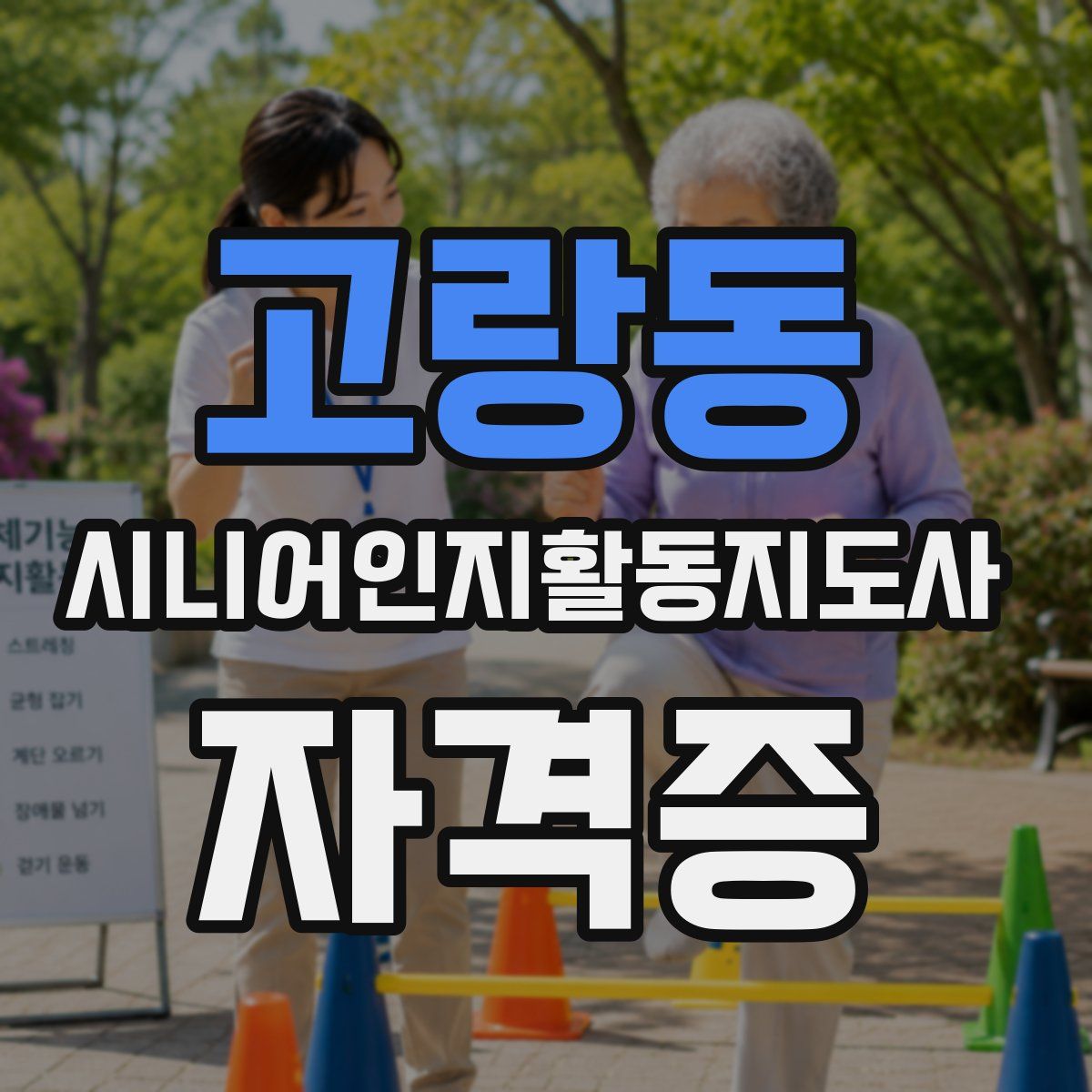 고랑동 시니어인지활동지도사 자격증