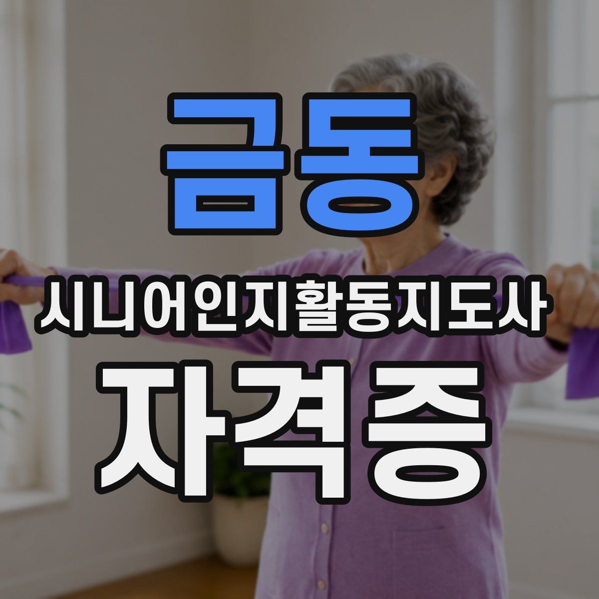 금동 시니어인지활동지도사 자격증
