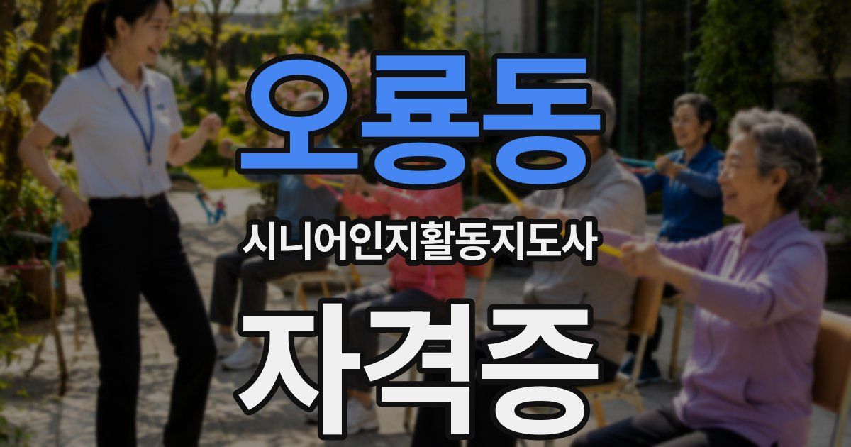 오룡동 시니어인지활동지도사 자격증