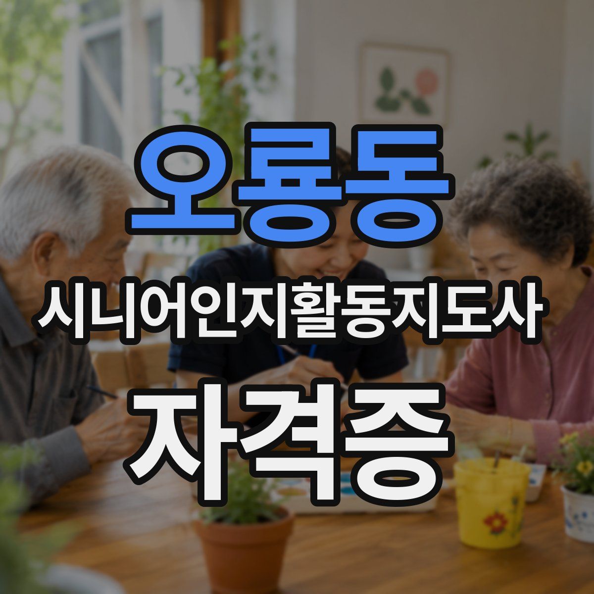오룡동 시니어인지활동지도사 자격증