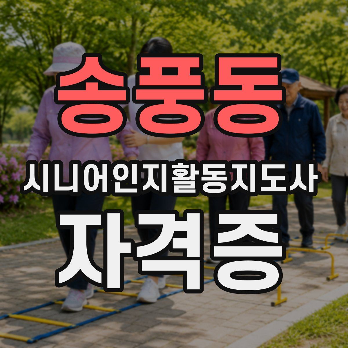 송풍동 시니어인지활동지도사 자격증