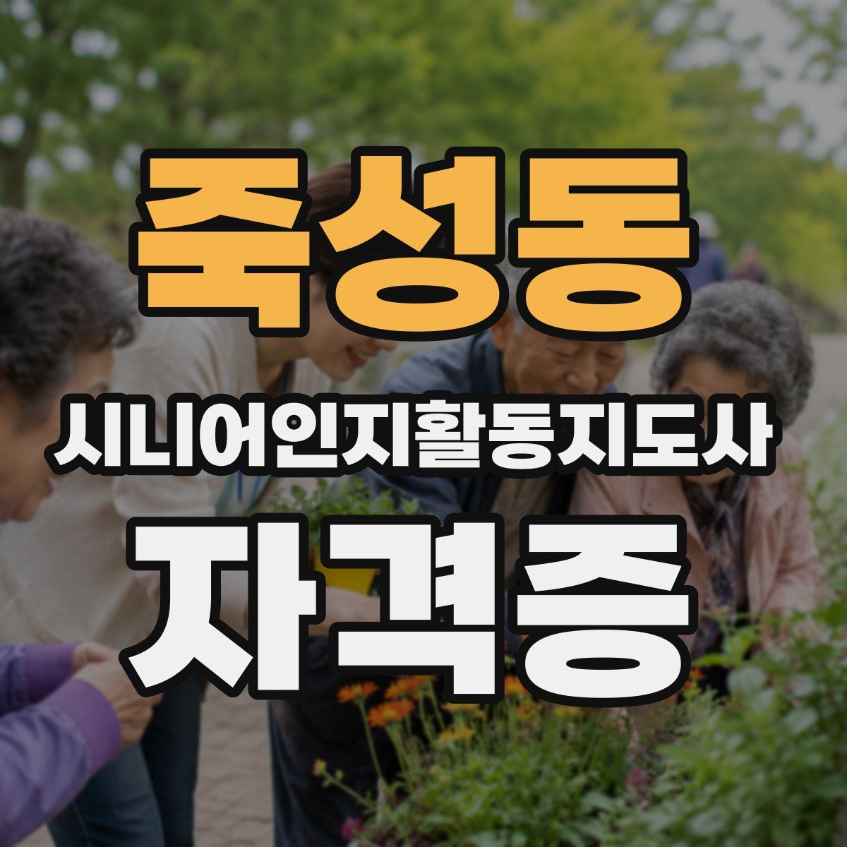 죽성동 시니어인지활동지도사 자격증