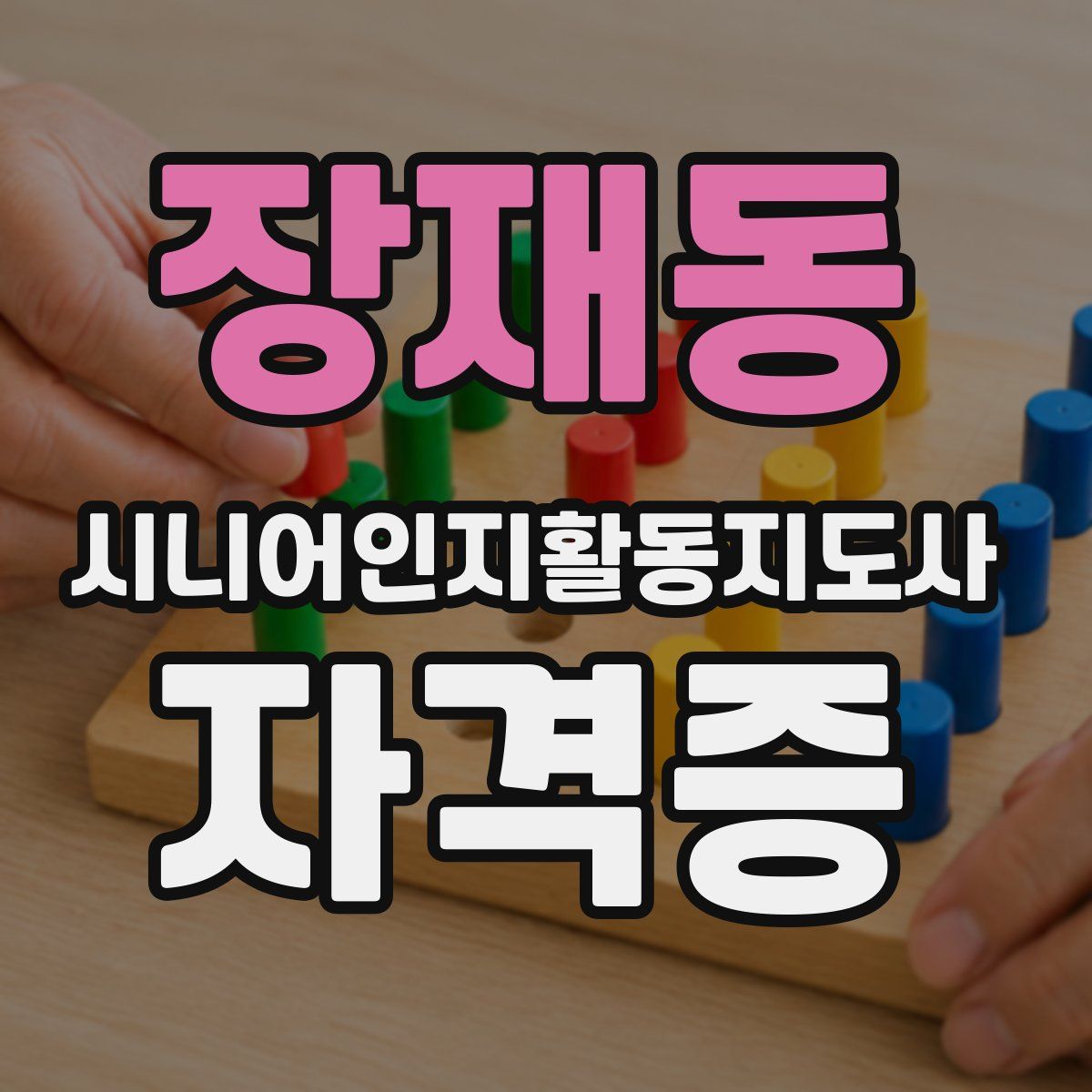 장재동 시니어인지활동지도사 자격증