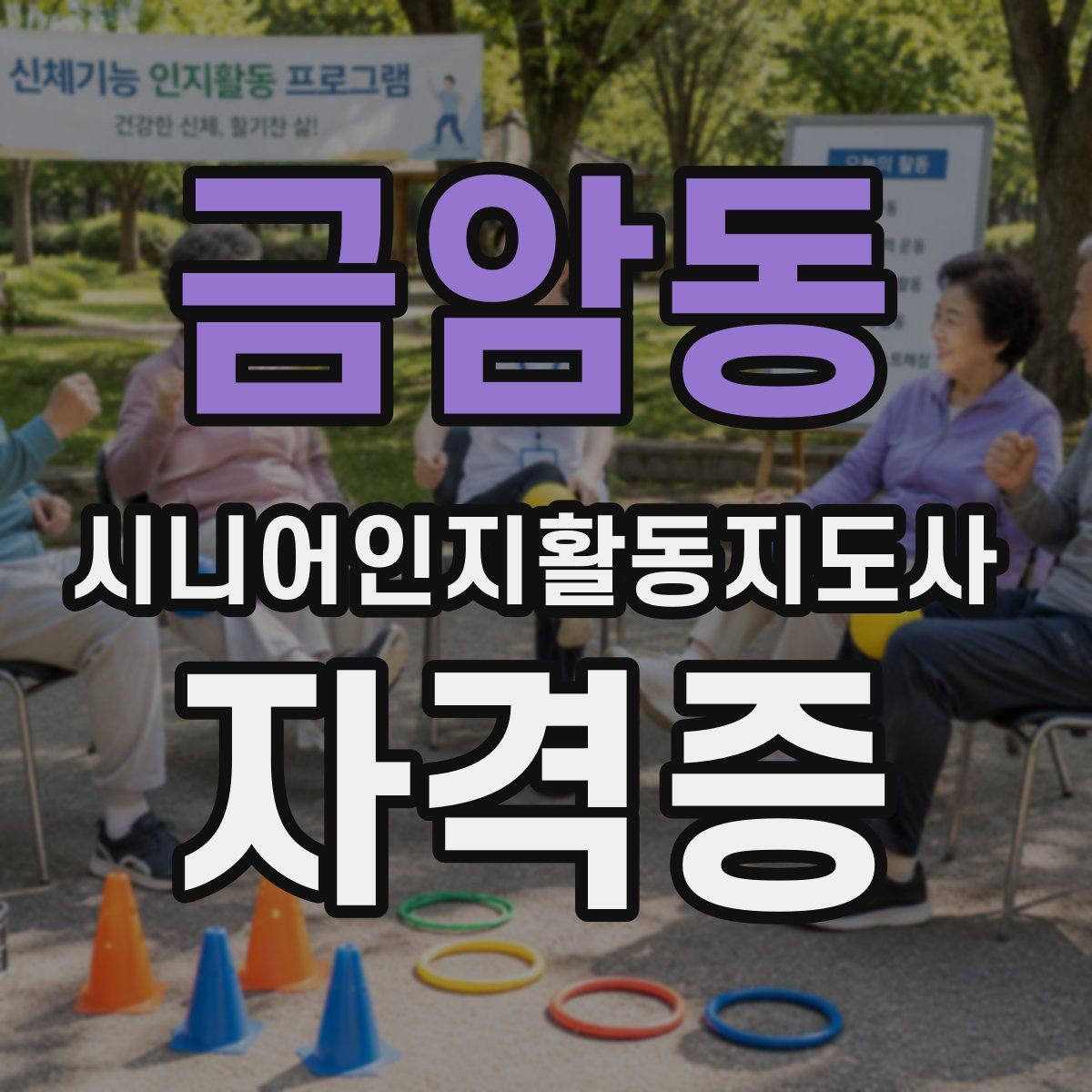 금암동 시니어인지활동지도사 자격증