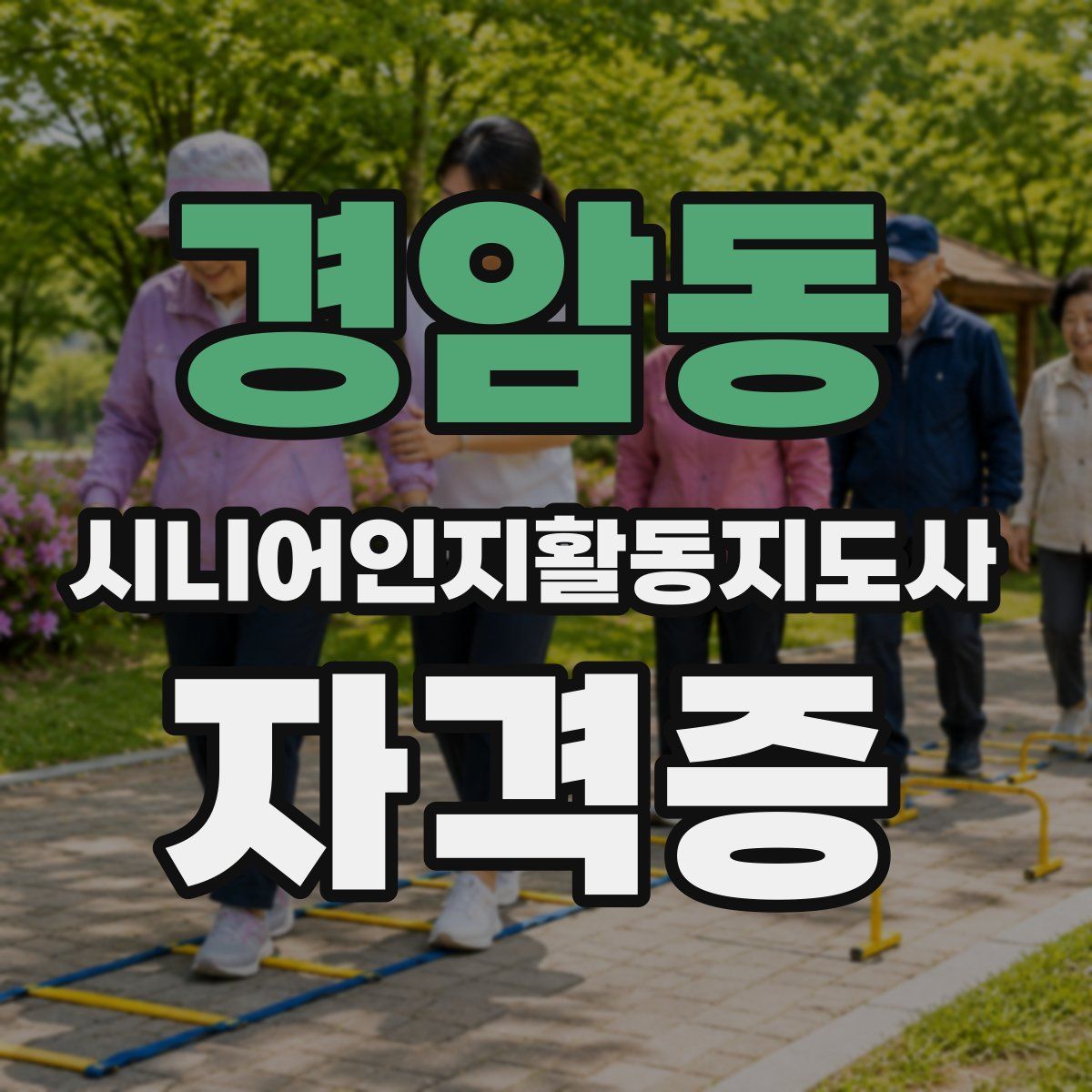 경암동 시니어인지활동지도사 자격증