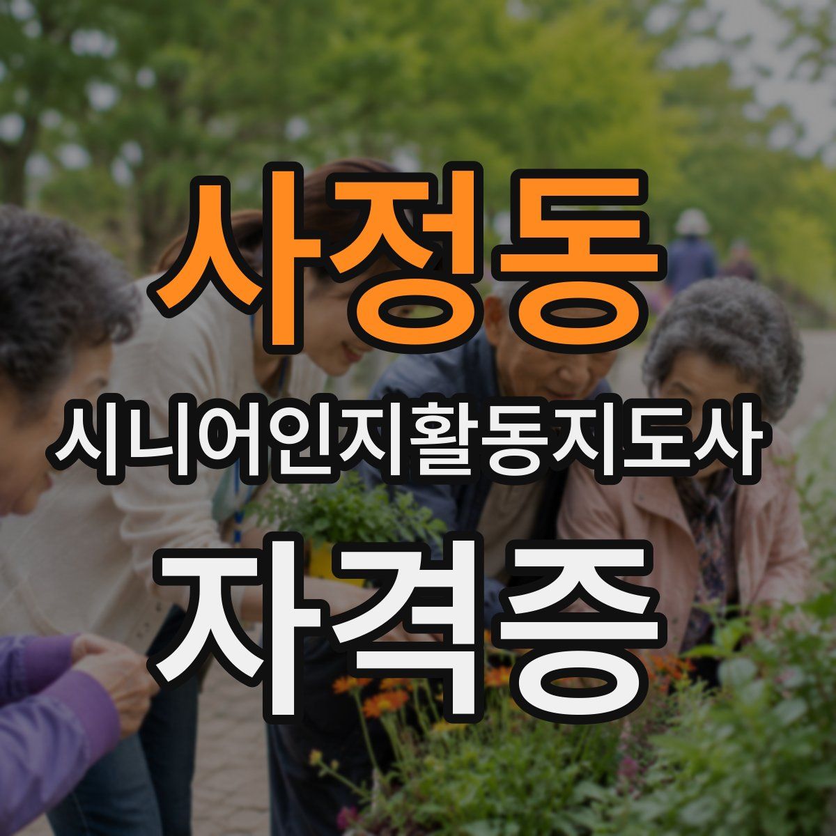 사정동 시니어인지활동지도사 자격증