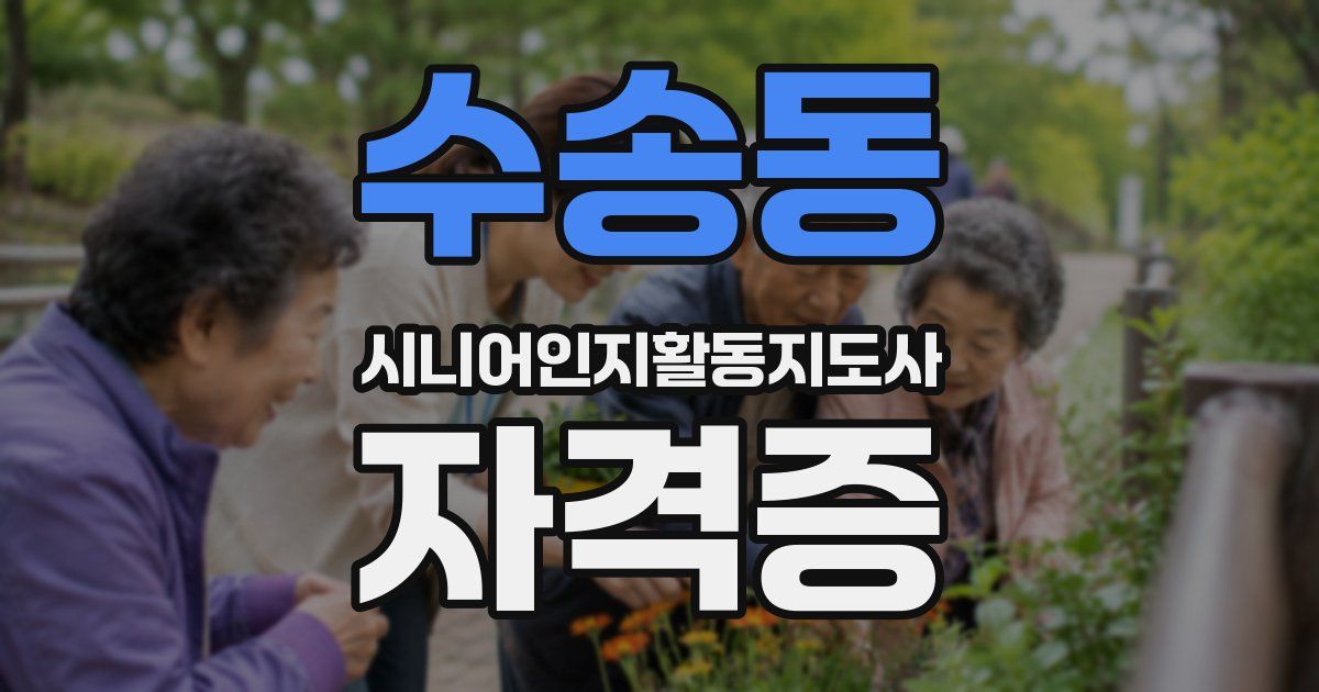 수송동 시니어인지활동지도사 자격증
