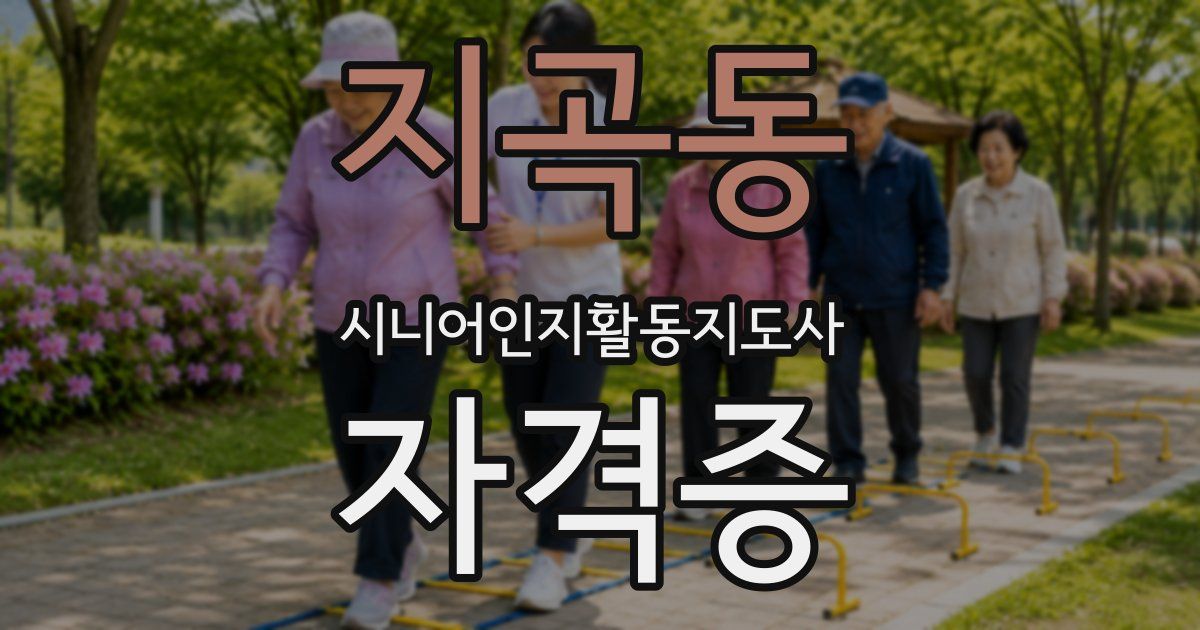 지곡동 시니어인지활동지도사 자격증