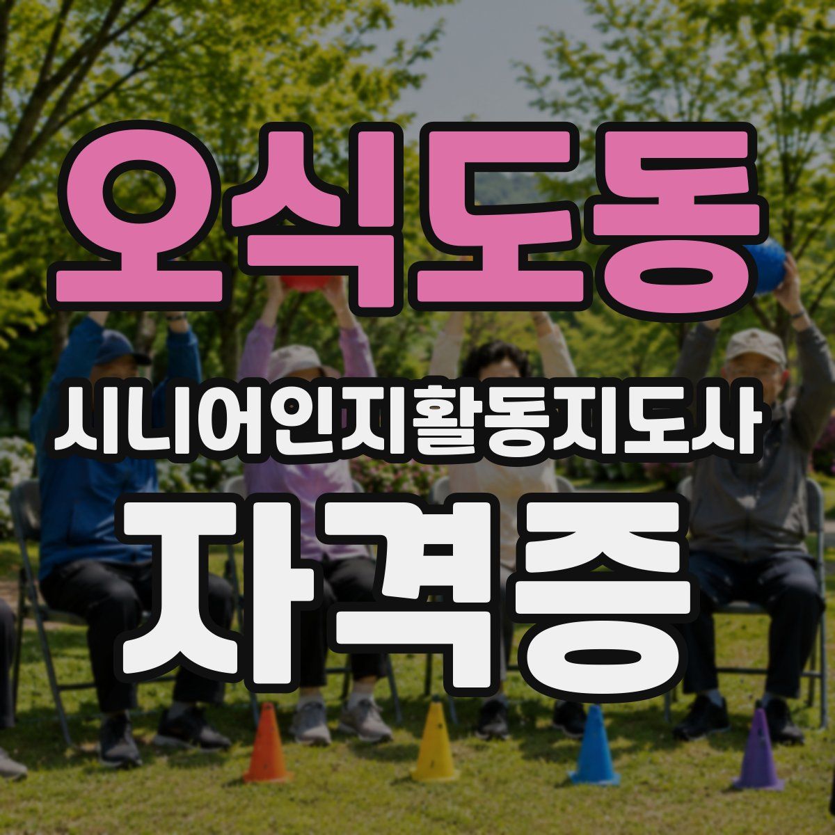 오식도동 시니어인지활동지도사 자격증