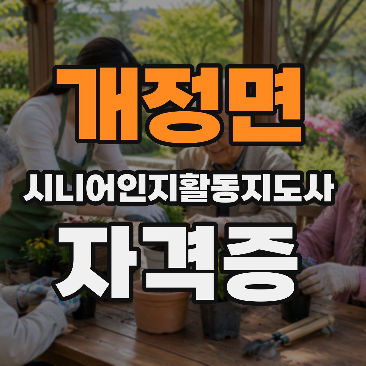 개정면 시니어인지활동지도사 자격증