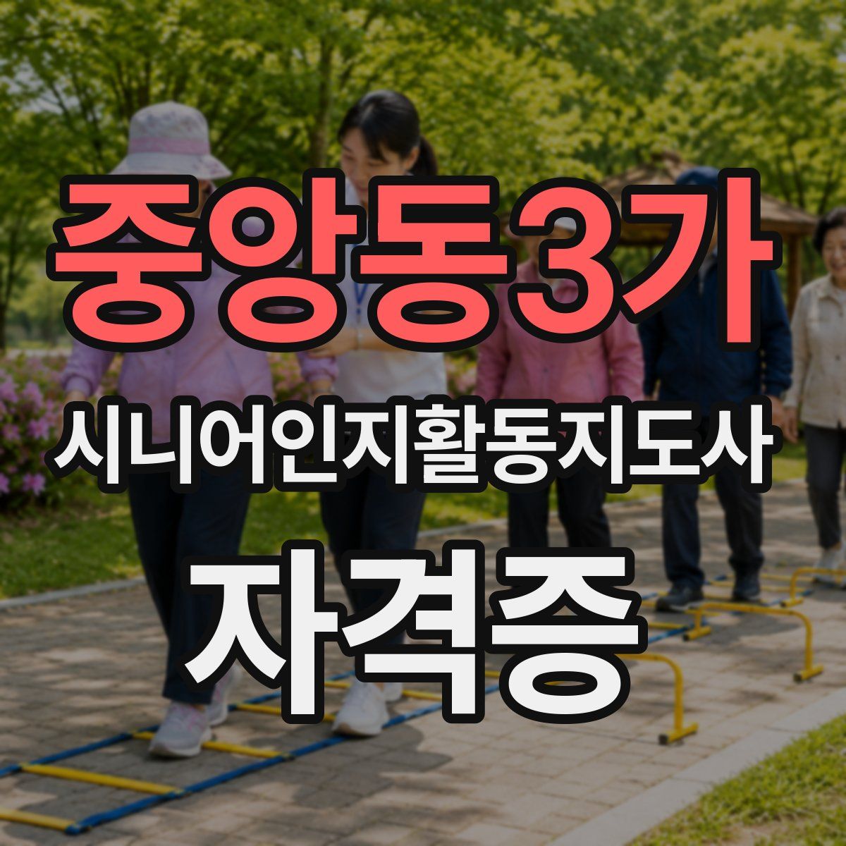중앙동3가 시니어인지활동지도사 자격증