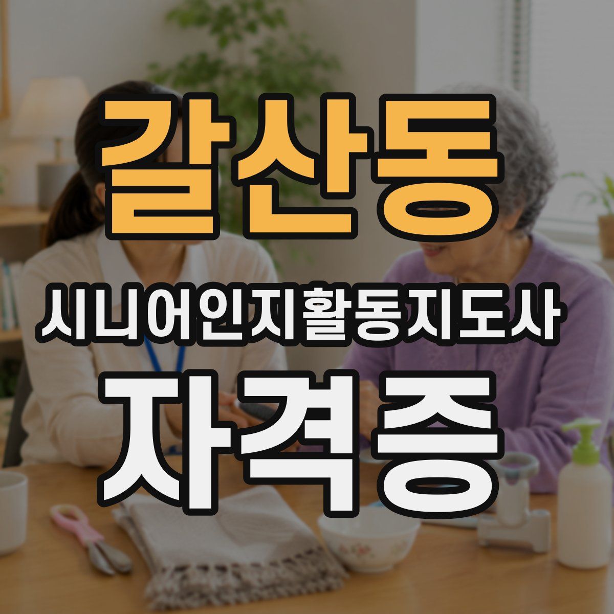 갈산동 시니어인지활동지도사 자격증