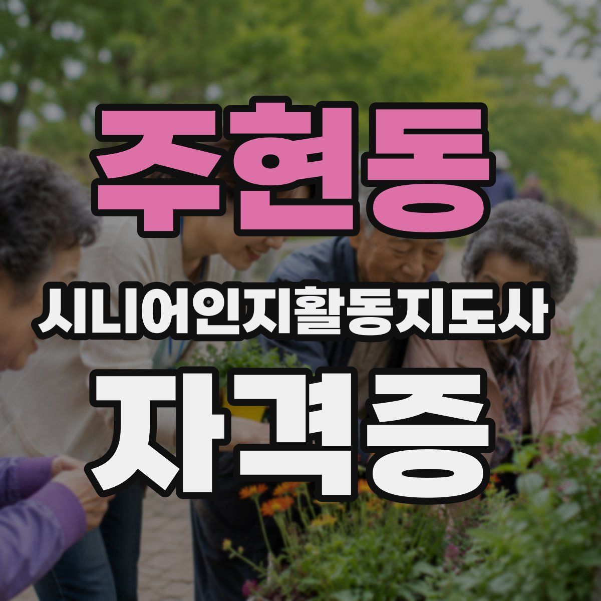 주현동 시니어인지활동지도사 자격증