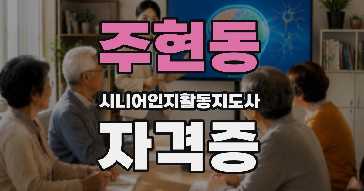 주현동 시니어인지활동지도사 자격증