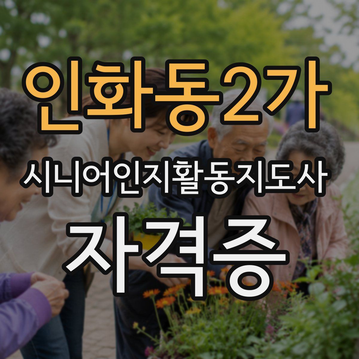 인화동2가 시니어인지활동지도사 자격증