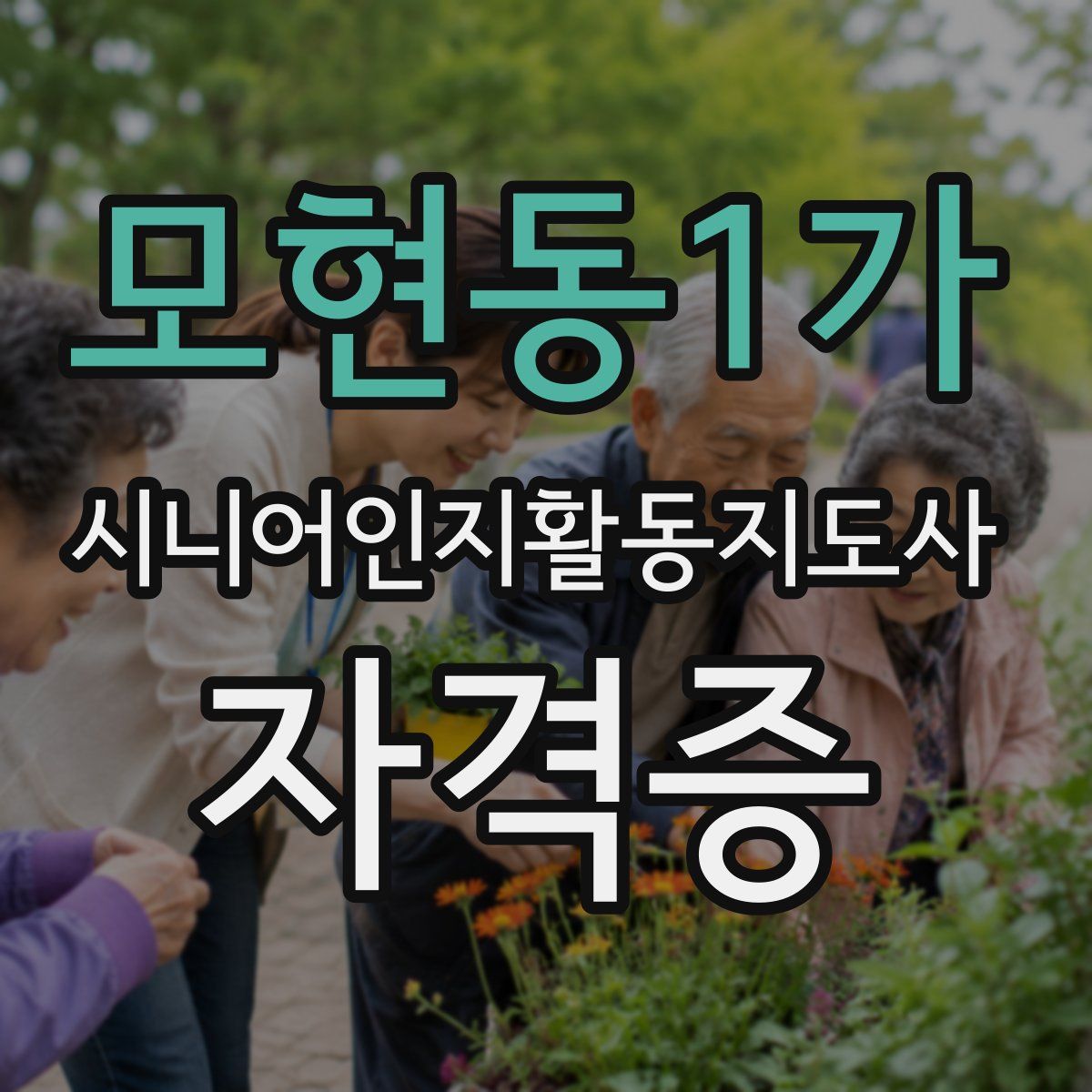 모현동1가 시니어인지활동지도사 자격증