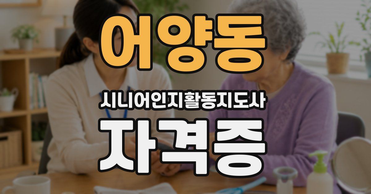 어양동 시니어인지활동지도사 자격증