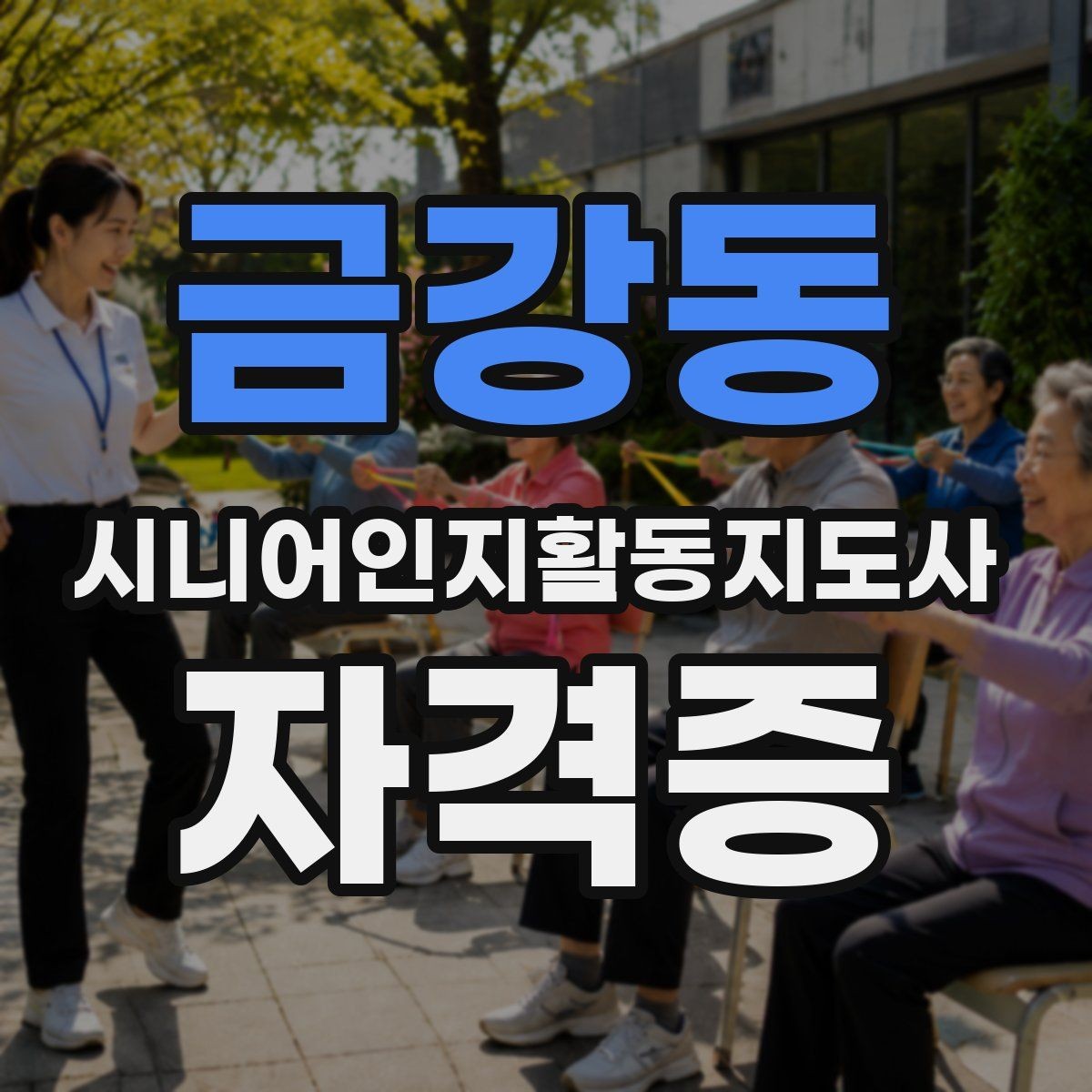 금강동 시니어인지활동지도사 자격증 현장 적용에 필요한 역량