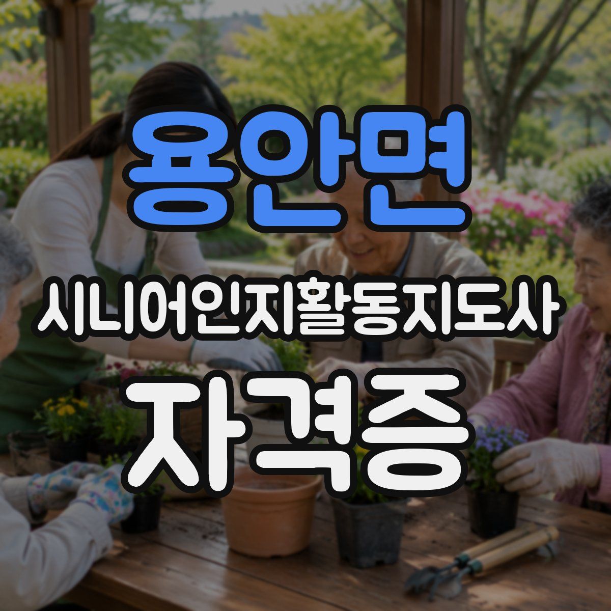 용안면 시니어인지활동지도사 자격증