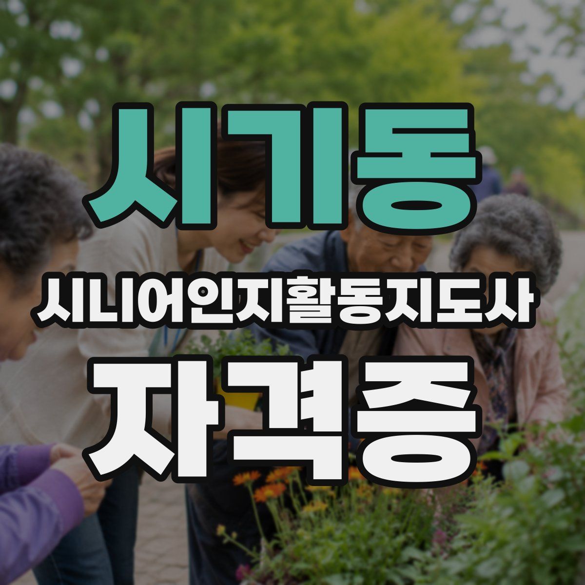 시기동 시니어인지활동지도사 자격증