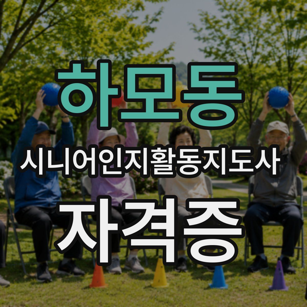 하모동 시니어인지활동지도사 자격증