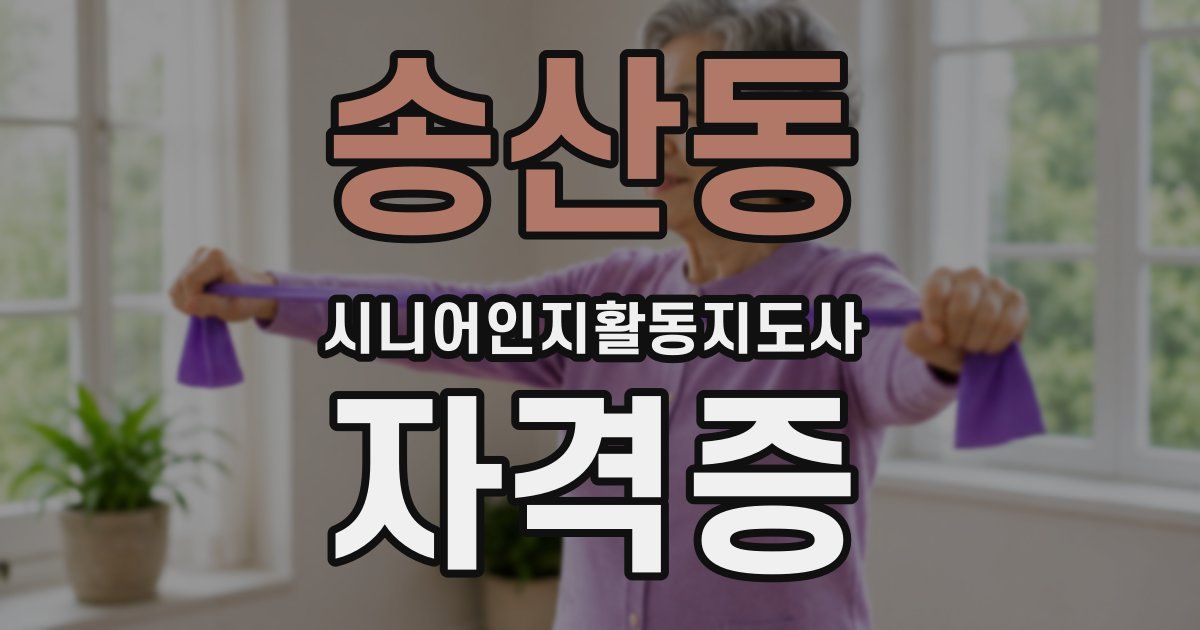 송산동 시니어인지활동지도사 자격증