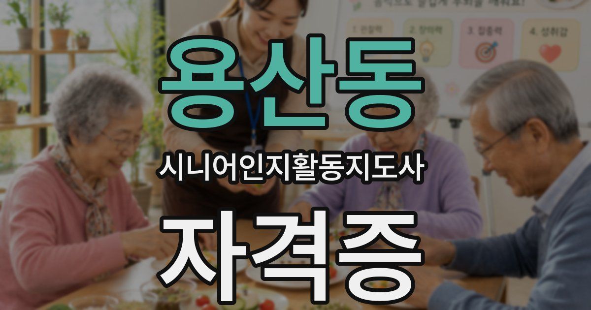 용산동 시니어인지활동지도사 자격증