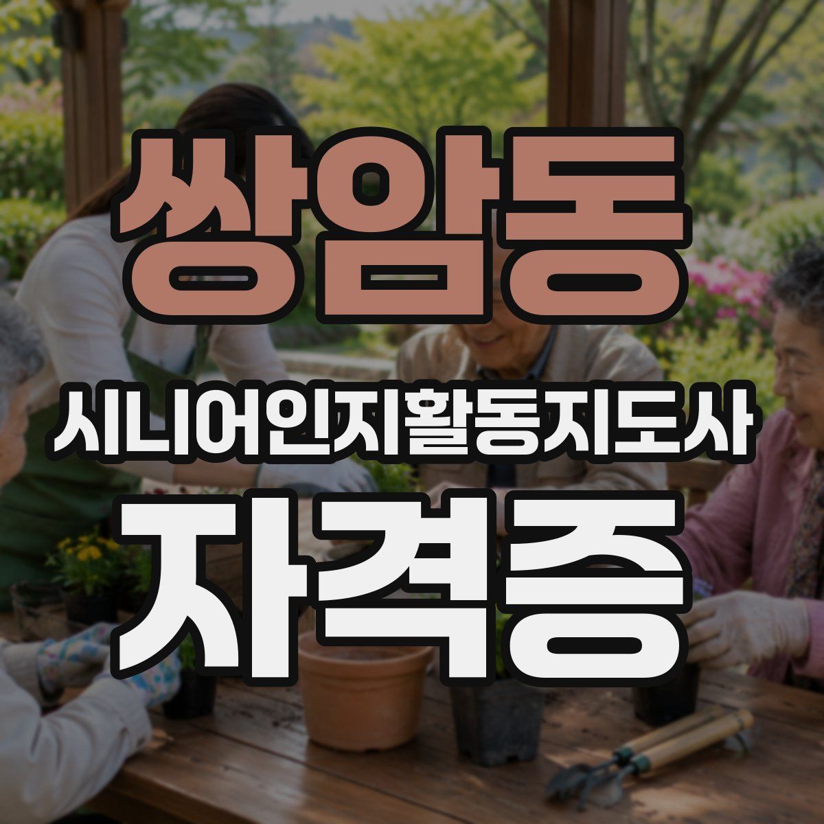 쌍암동 시니어인지활동지도사 자격증