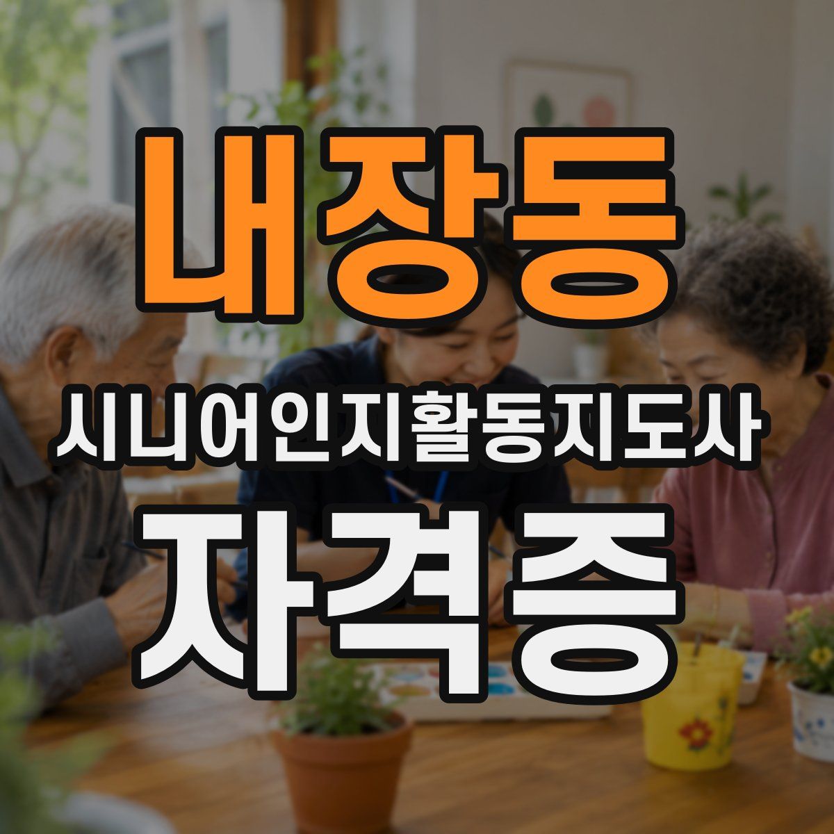 내장동 시니어인지활동지도사 자격증