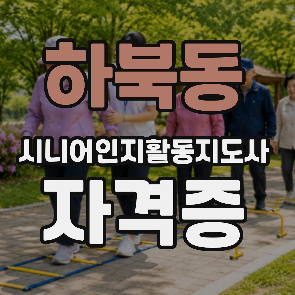하북동 시니어인지활동지도사 자격증