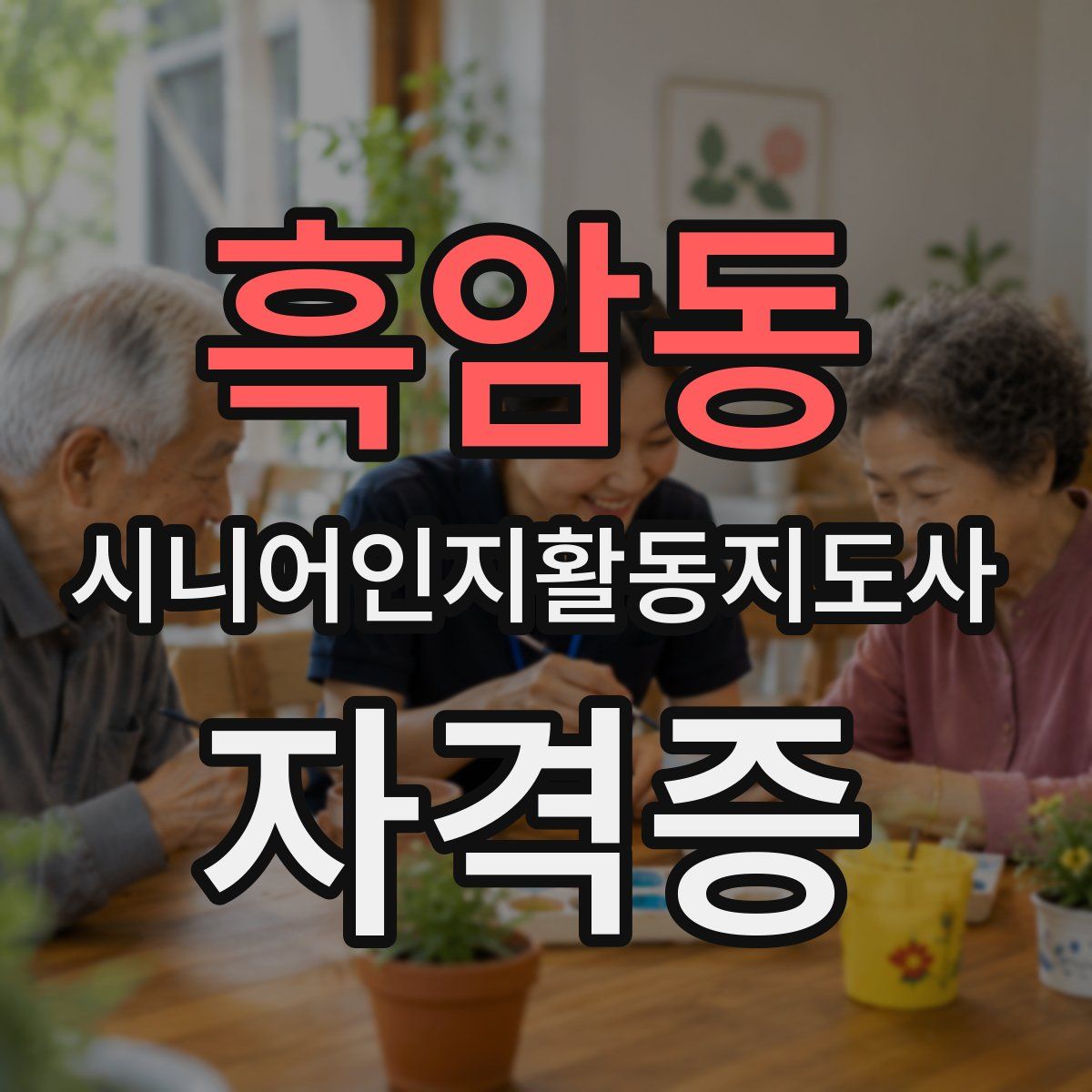 흑암동 시니어인지활동지도사 자격증