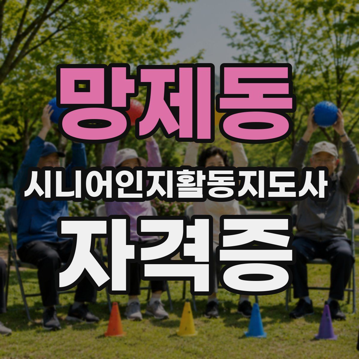 망제동 시니어인지활동지도사 자격증