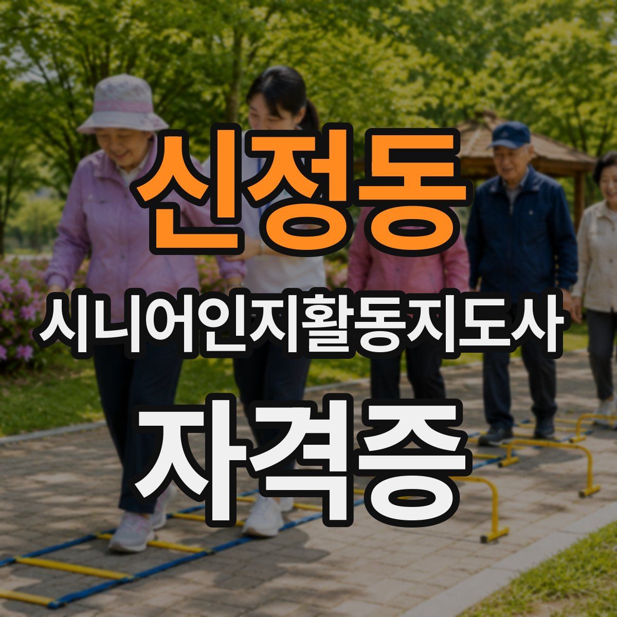 신정동 시니어인지활동지도사 자격증