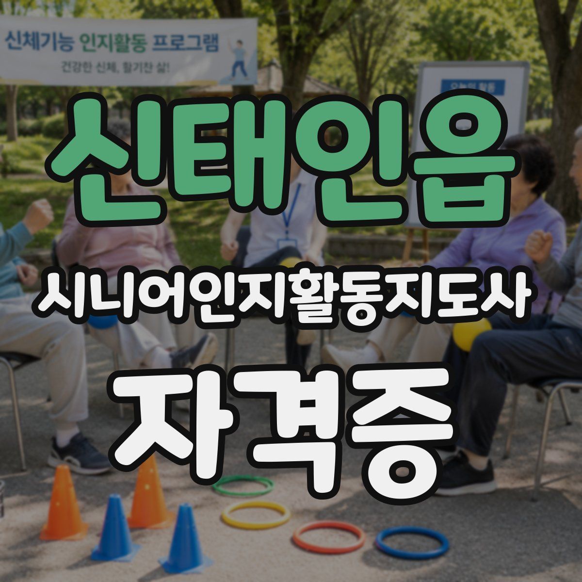 신태인읍 시니어인지활동지도사 자격증