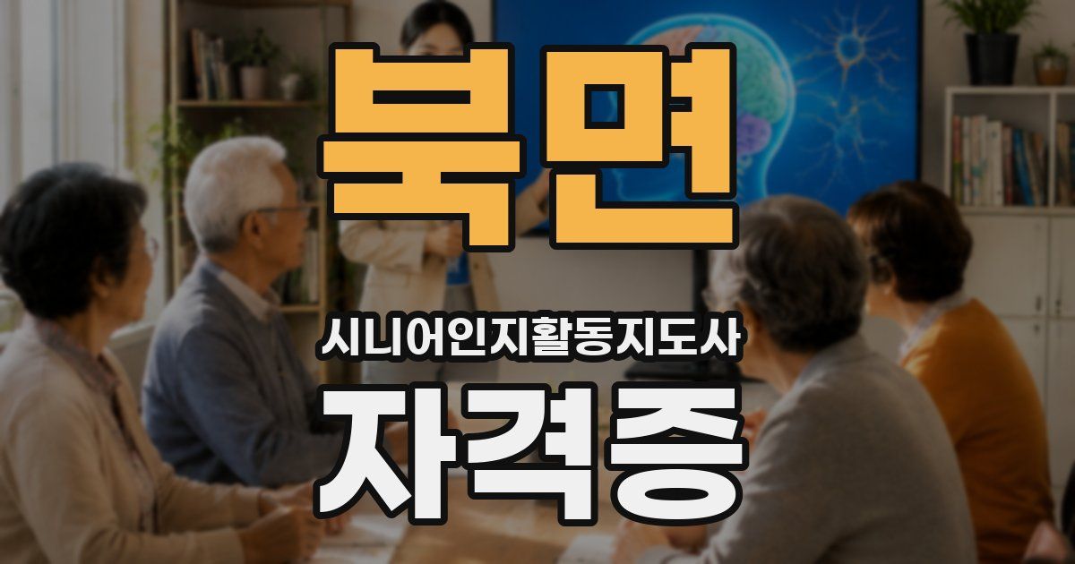 북면 시니어인지활동지도사 자격증