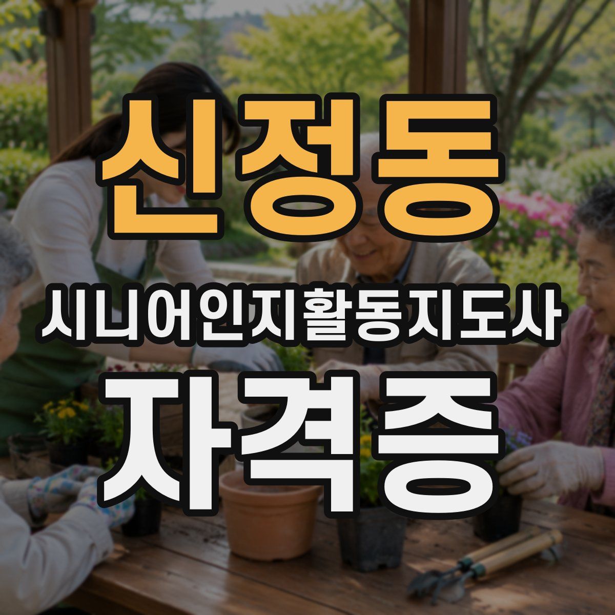 신정동 시니어인지활동지도사 자격증