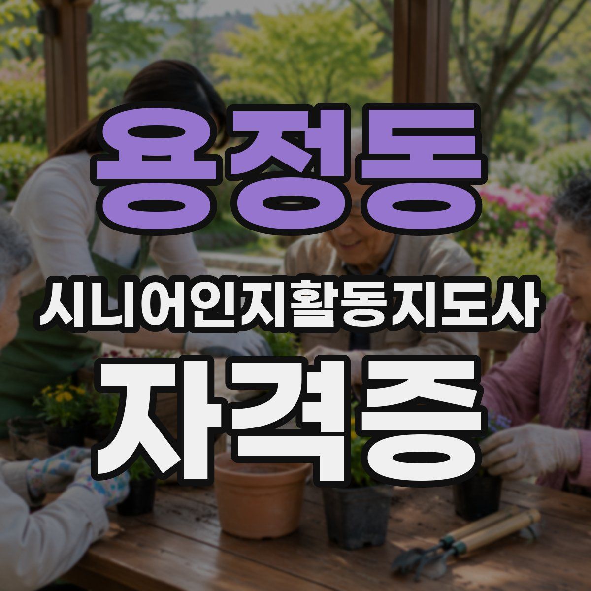 용정동 시니어인지활동지도사 자격증