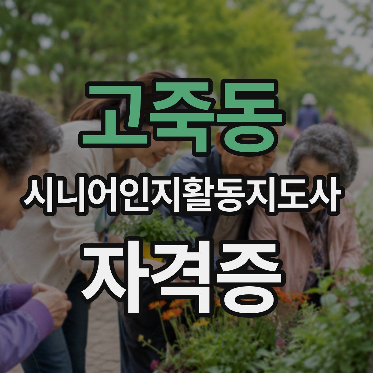 고죽동 시니어인지활동지도사 자격증