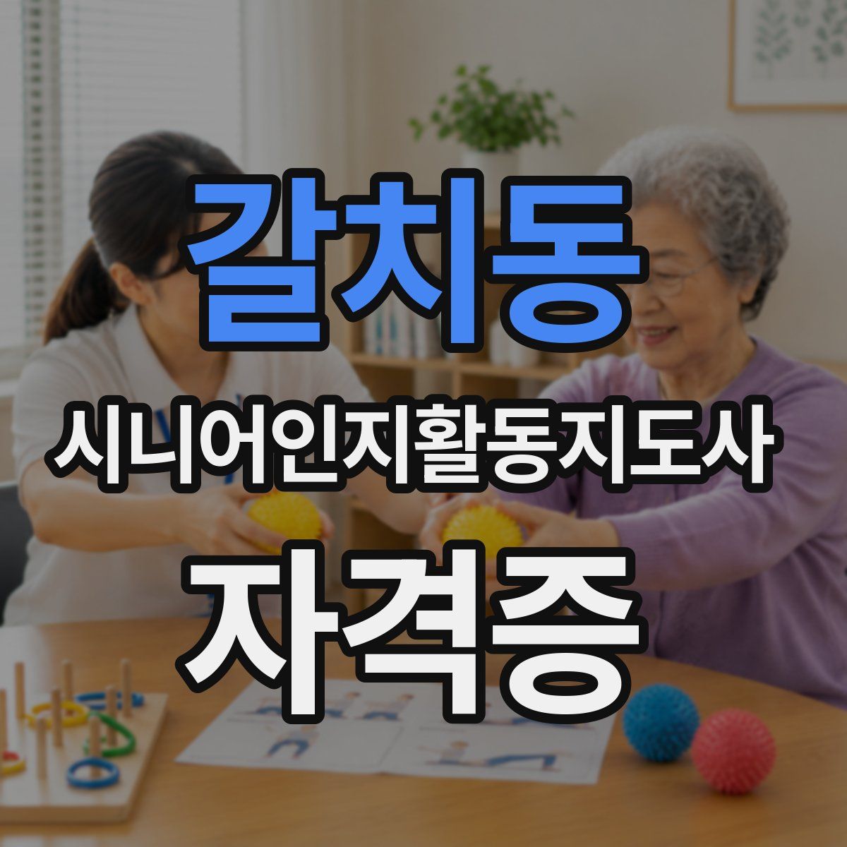 갈치동 시니어인지활동지도사 자격증