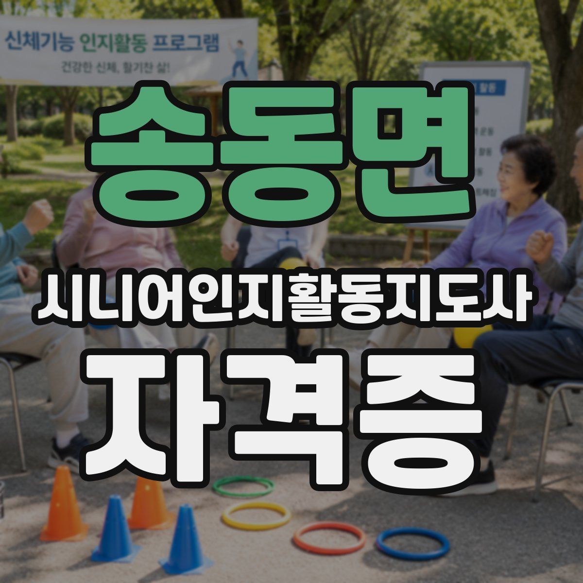 송동면 시니어인지활동지도사 자격증