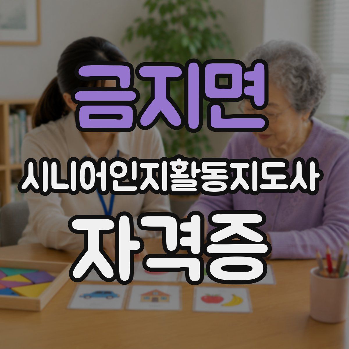 금지면 시니어인지활동지도사 자격증